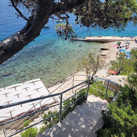 Luxury Apartments Villa Ruzmarina With New Heated Infinity Pool And Lounge Area Marusici  Εξωτερικό φωτογραφία
