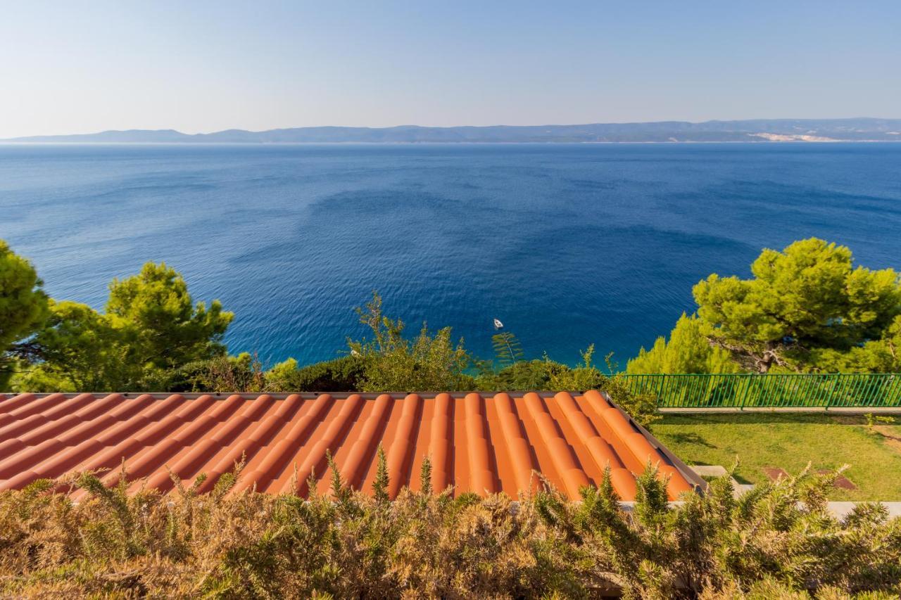 Luxury Apartments Villa Ruzmarina With New Heated Infinity Pool And Lounge Area Marusici  Εξωτερικό φωτογραφία